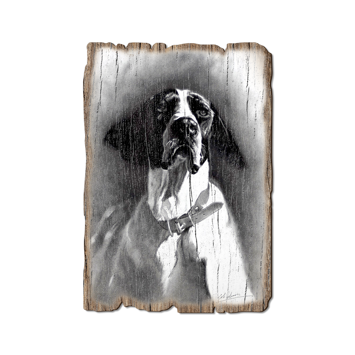 Greeting Card: Weathered Edge - Johnson's Proud Pointer