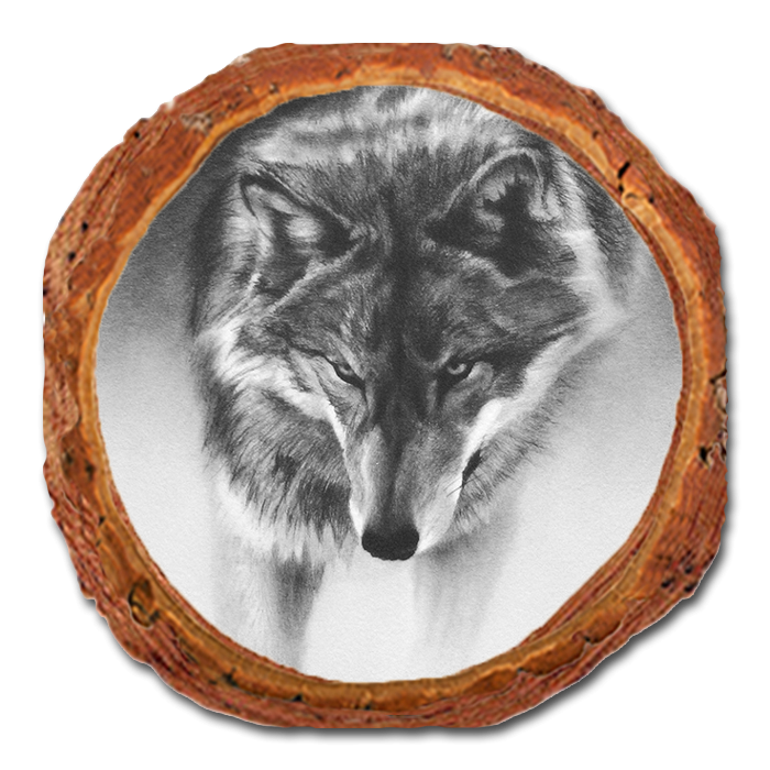 Coaster: Live Edge - Johnson's Prowling Wolf (Pack of 5)