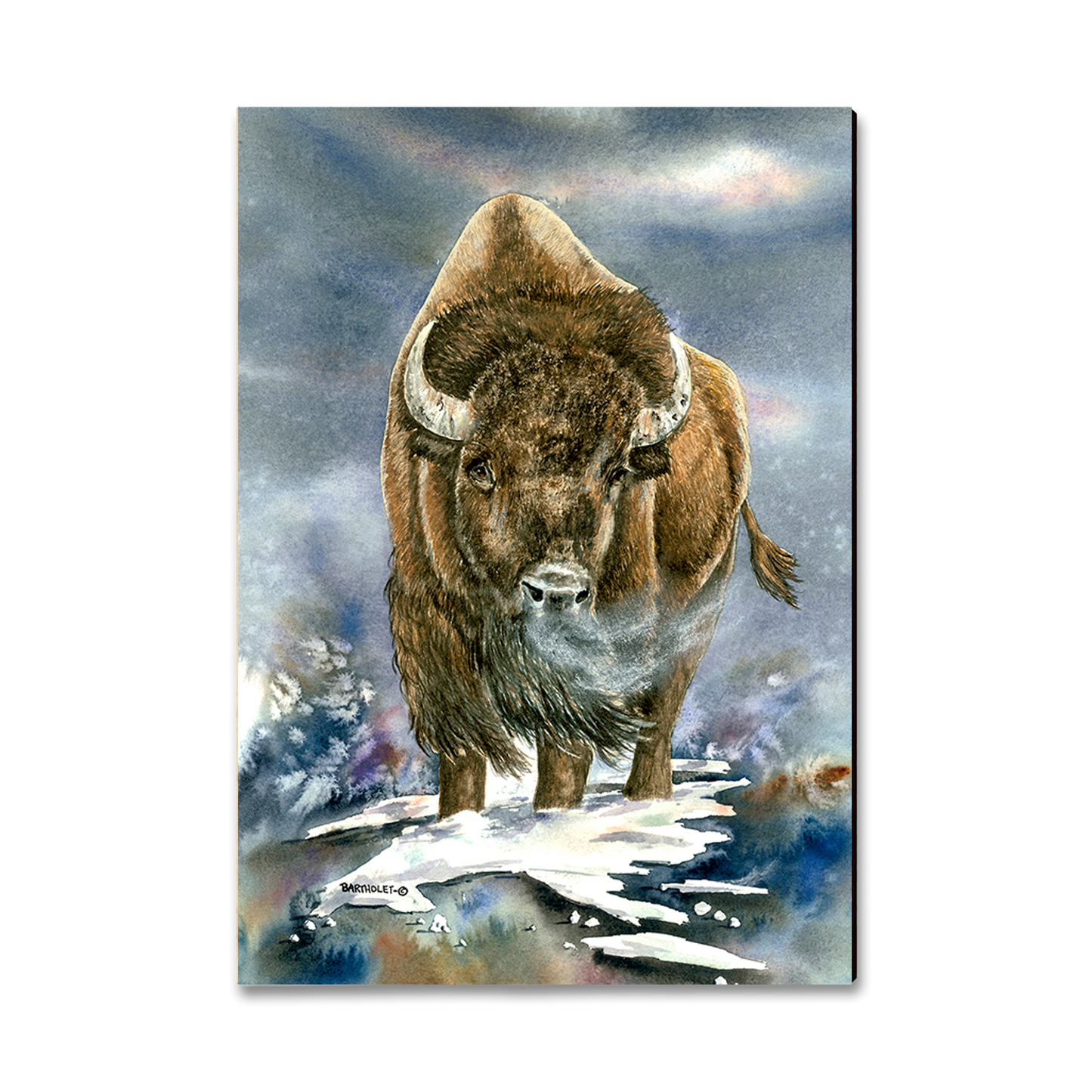 Magnet: Classic Edge - Bartholet's American Buffalo