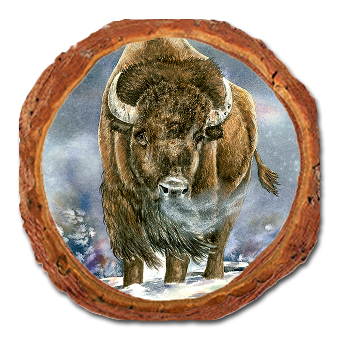 Coaster: Live Edge - Bartholet's American Buffalo (Pack of 5)