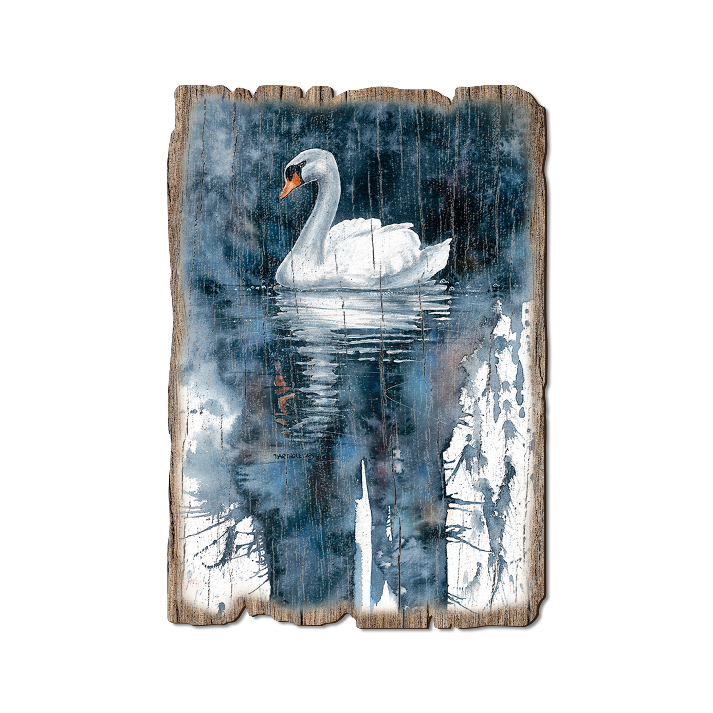 Greeting Card: Weathered Edge - Bartholet's Amazing Grace