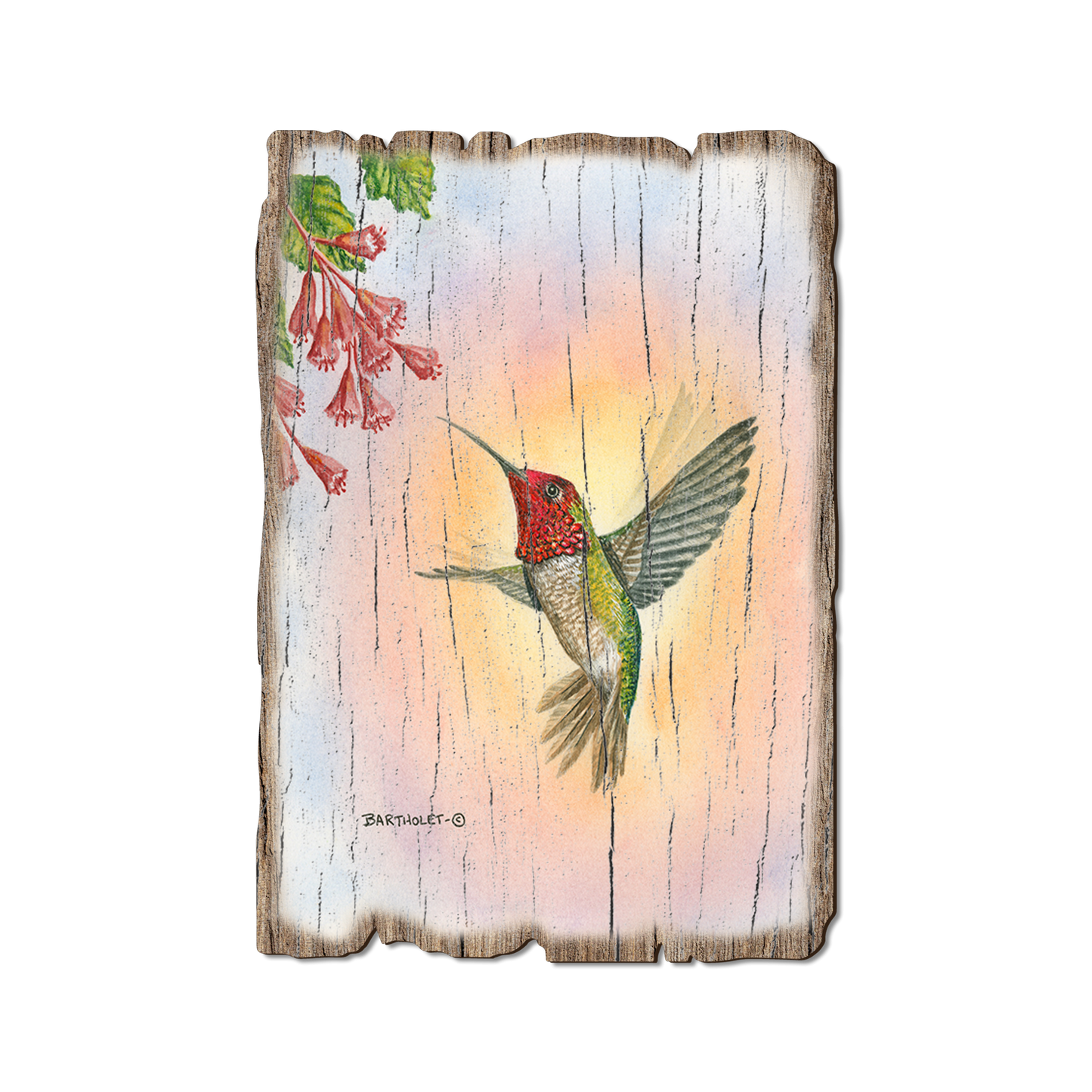 Ornament: Weathered Edge - Bartholet's Anna Hummingbird (Pack of 5)