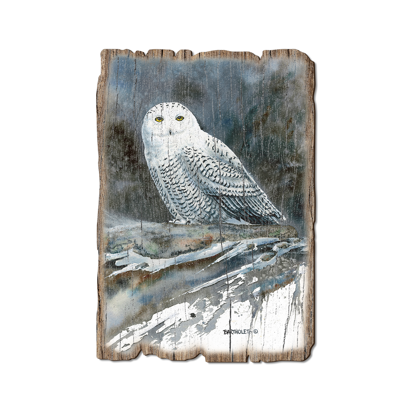 Greeting Card: Weathered Edge - Bartholet's Arctic Ghost