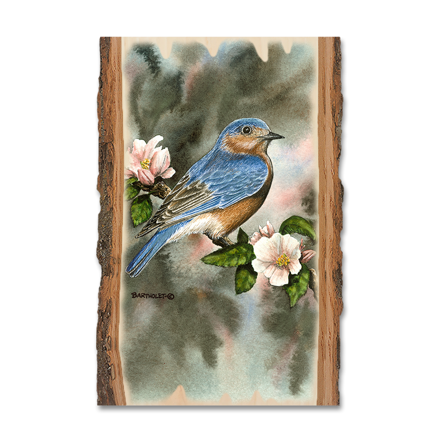 Ornament: Live Edge - Bartholet's Bluebird