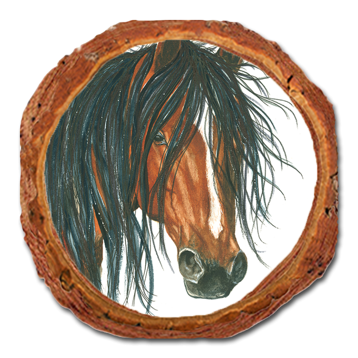 Coaster: Live Edge - Bartholet's Bad Boy (Pack of 5)