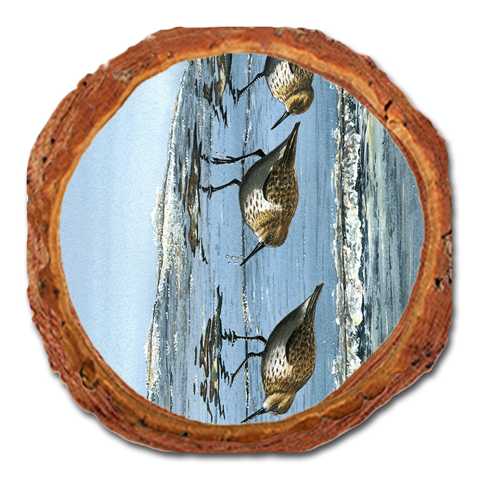 Coaster: Live Edge - Bartholet's Beach Breakfast