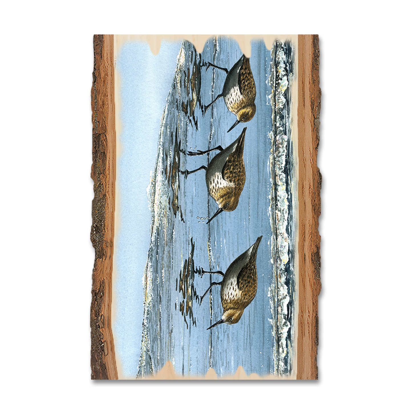 Greeting Card: Live Edge - Bartholet's Beach Breakfast