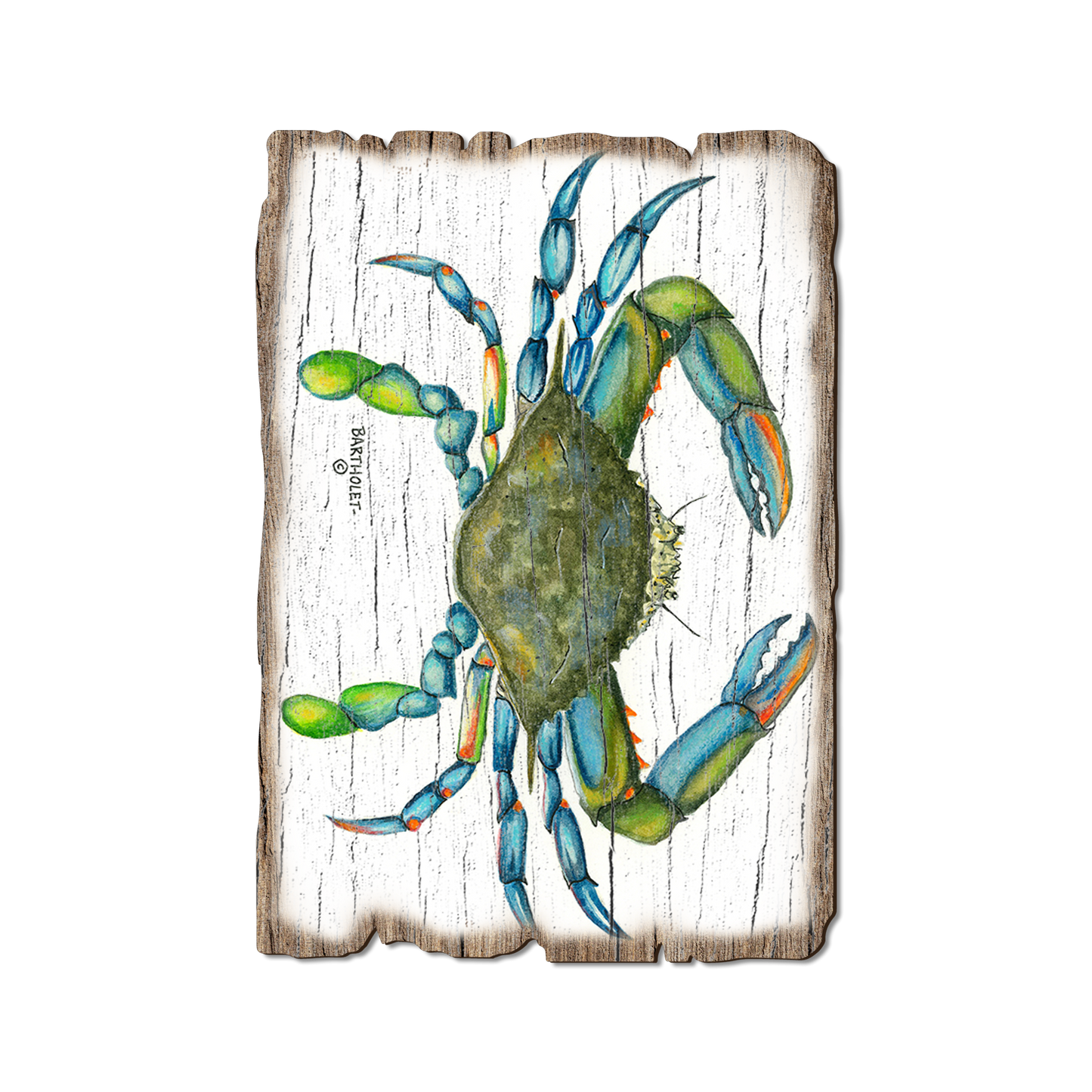 Ornament: Weathered Edge - Bartholet's Blue Crab (Pack of 5)