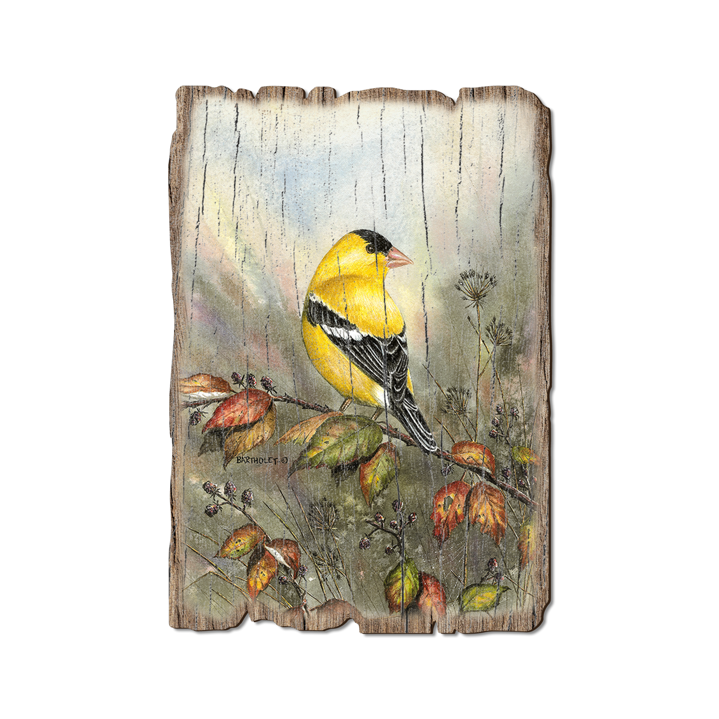 Greeting Card: Weathered Edge - Bartholet's Backyard Gold