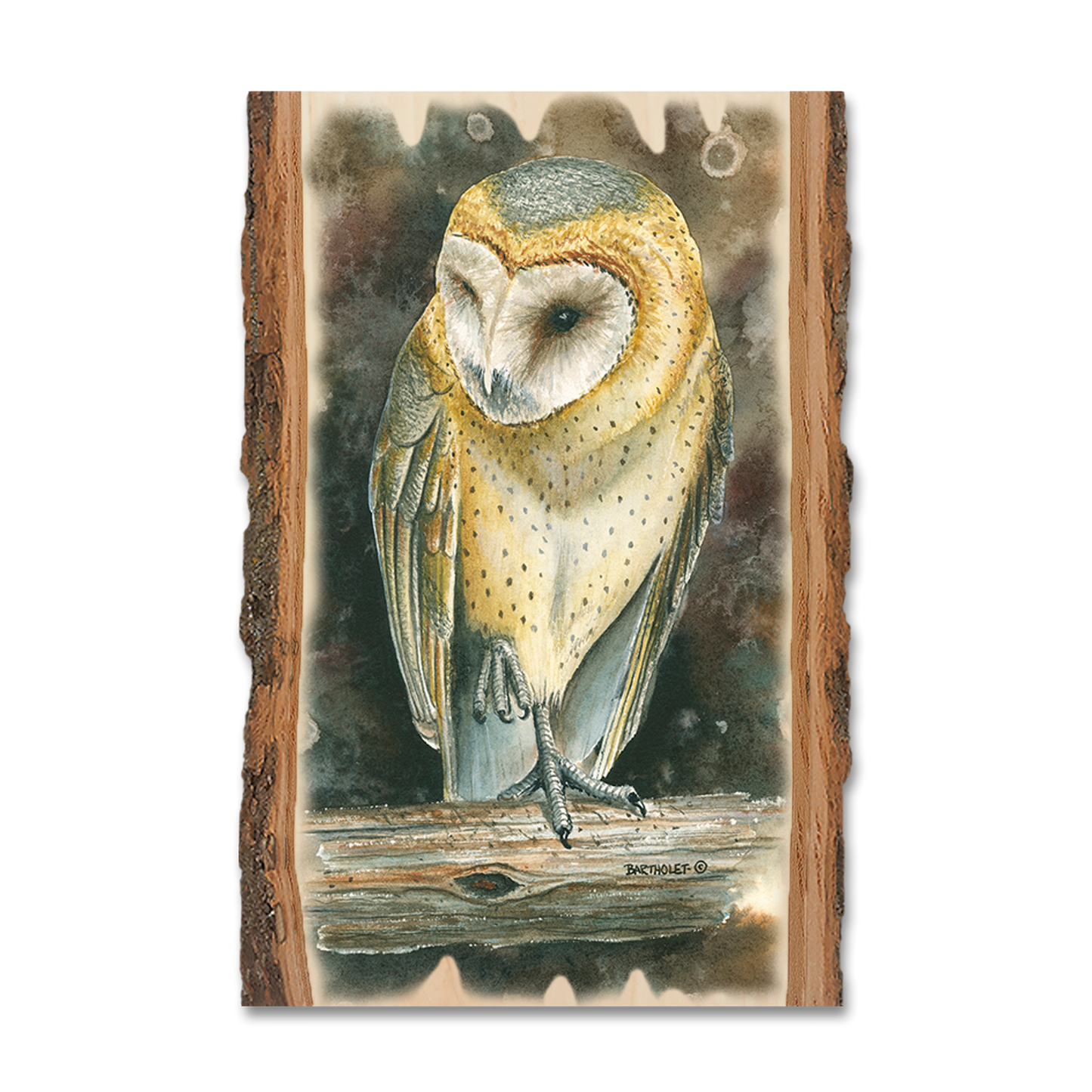 Magnet: Live Edge - Bartholet's Barn Owl