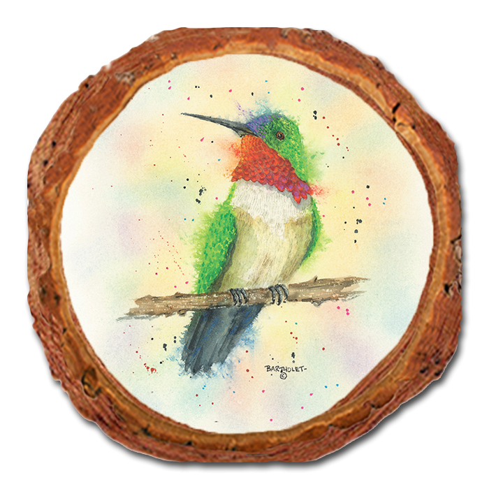 Coaster: Live Edge - Bartholet's Break Time (Pack of 5)