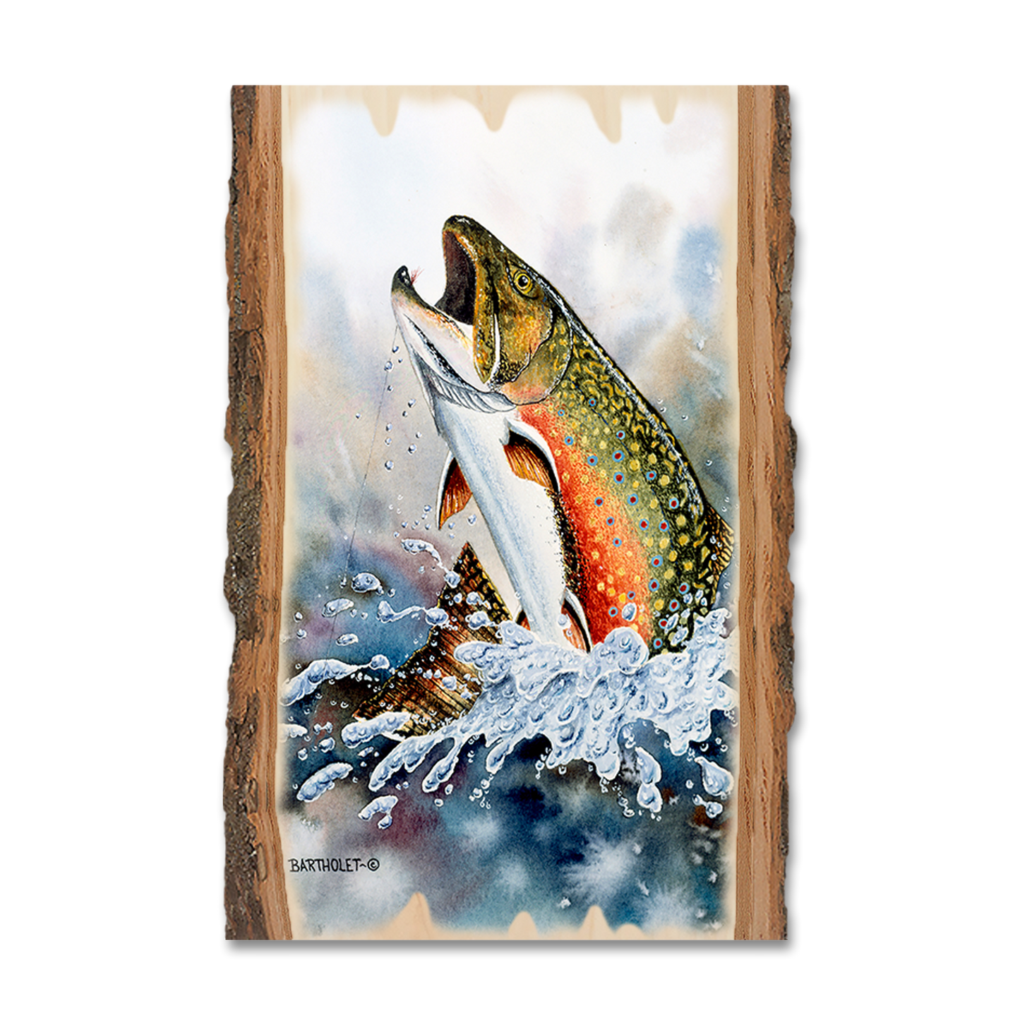 Ornament: Live Edge - Bartholet's Brook Trout