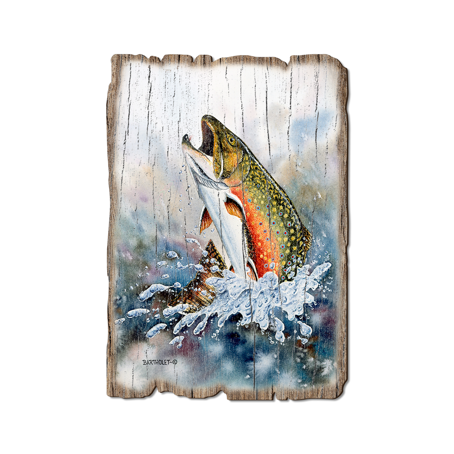 Ornament: Weathered Edge - Bartholet's Brook Trout (Pack of 5)