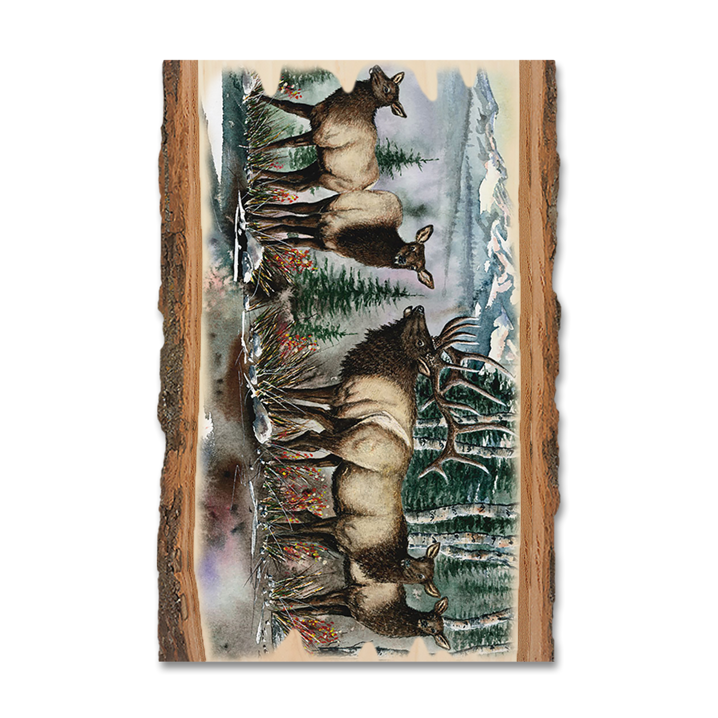 Ornament: Live Edge - Bartholet's Clear Cut