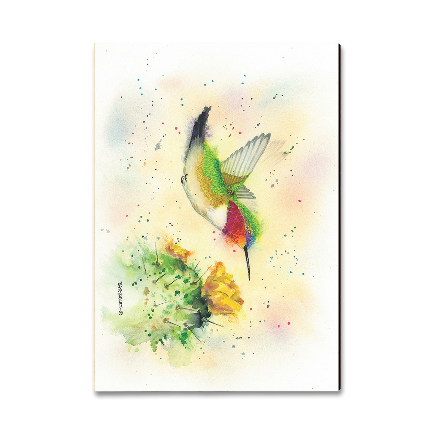 Ornament: Classic Edge - Bartholet's Cactus Flyby