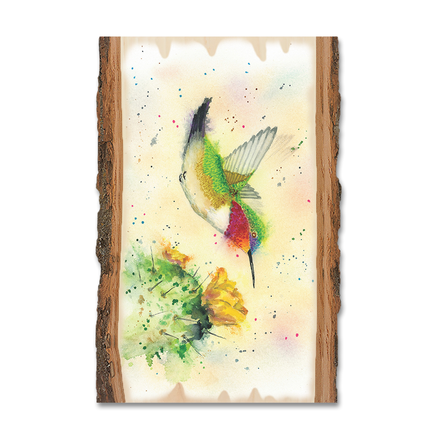Magnet: Live Edge - Bartholet's Cactus Flyby