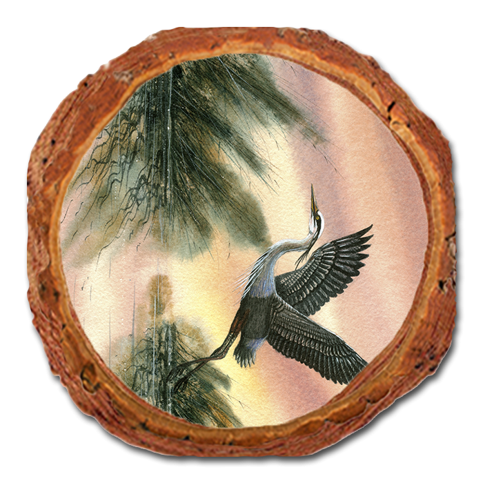 Coaster: Live Edge - Bartholet's Cool Of The Morning (Pack of 5)