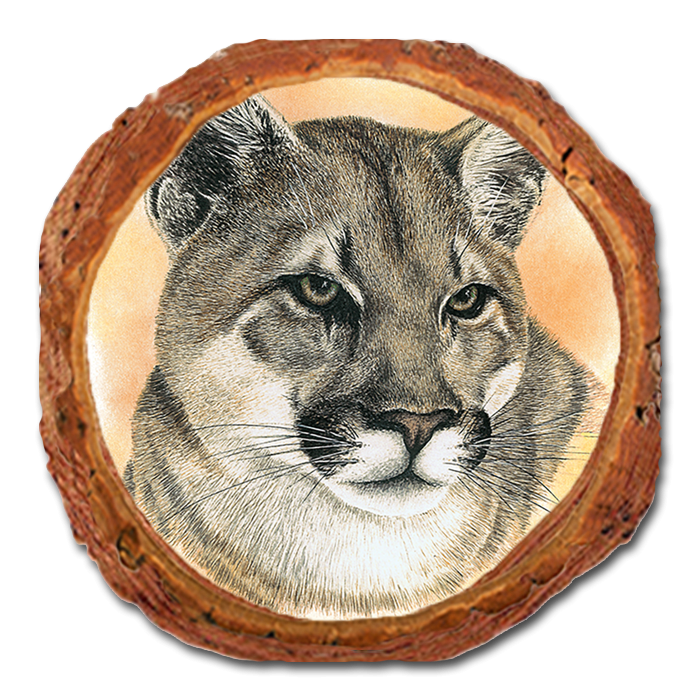 Coaster: Live Edge - Bartholet's Cougar (Pack of 5)