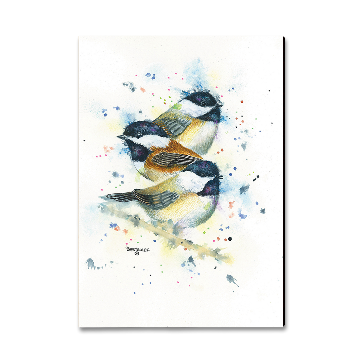 Postcard: Classic Edge - Bartholet's Chickadee Trio