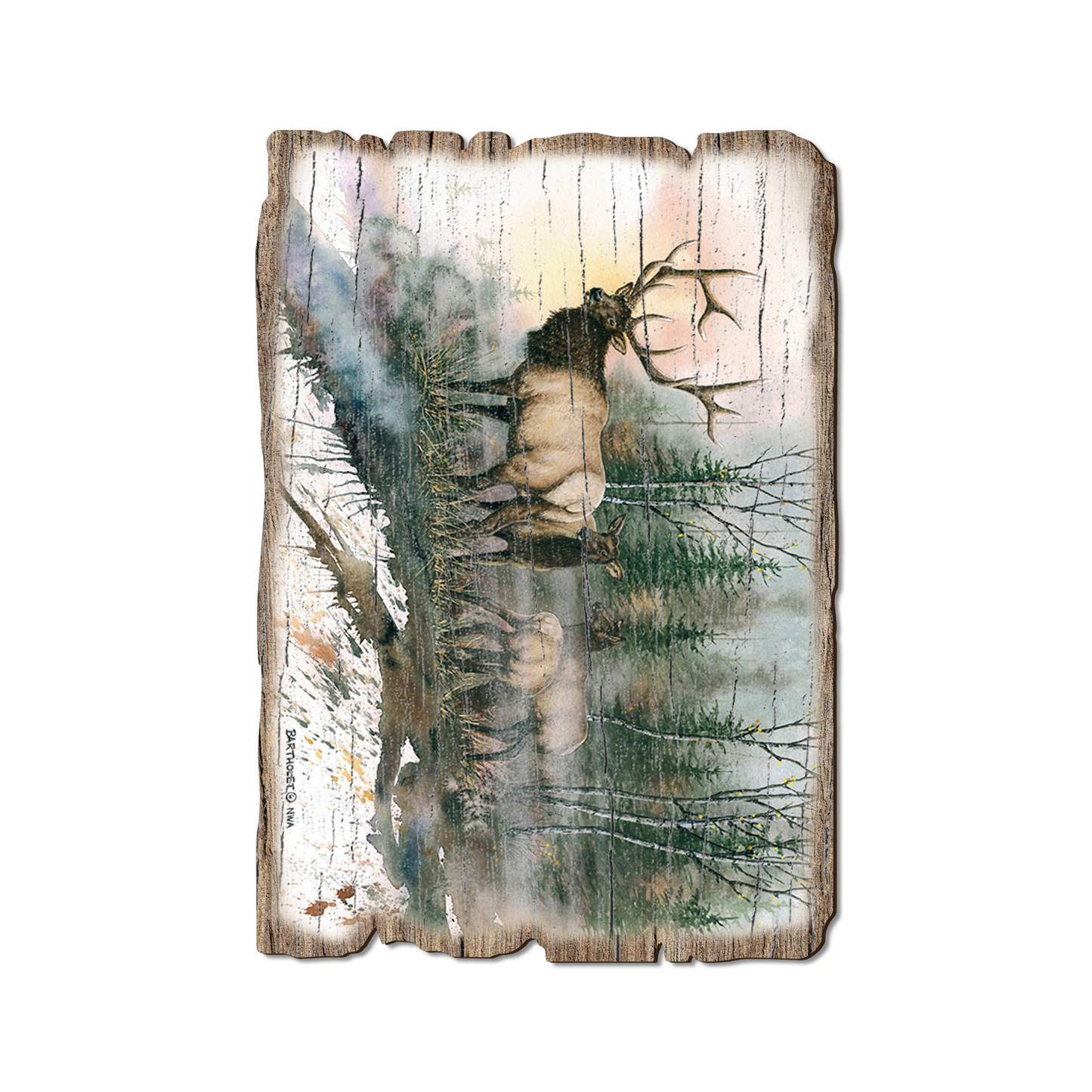Postcard: Weathered Edge - Bartholet's Daybreak