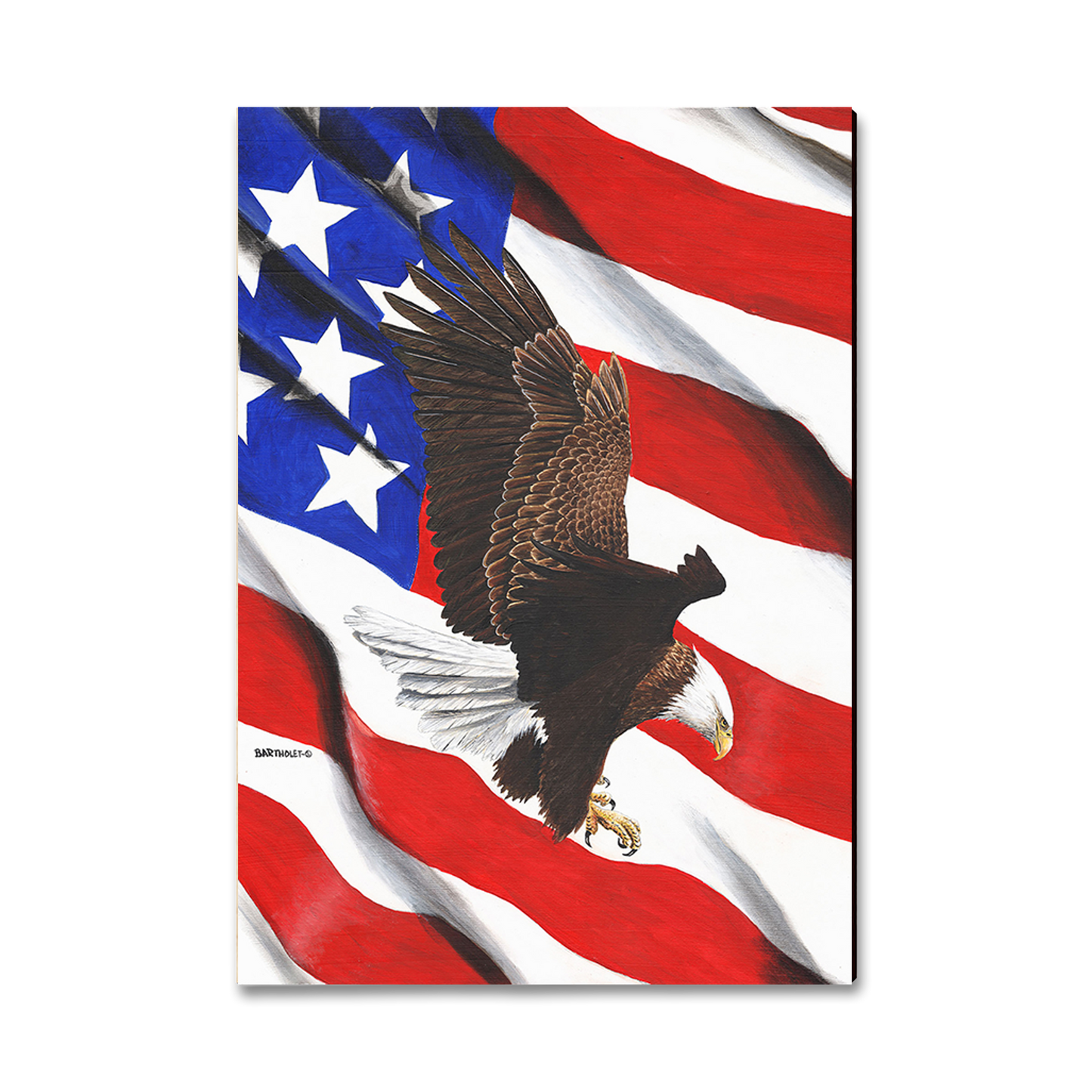 Greeting Card: Classic Edge - Bartholet's Freedom Flight