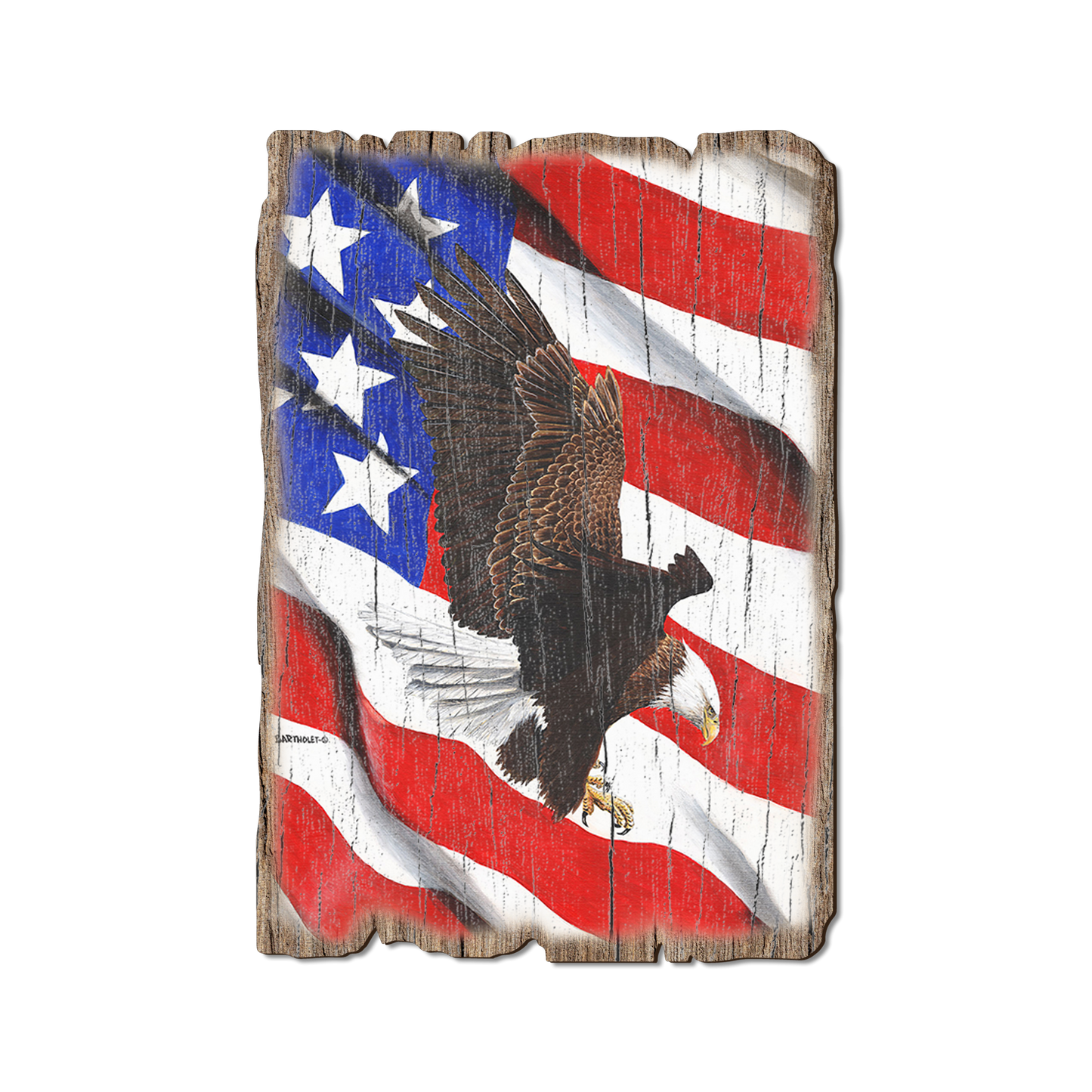 Greeting Card: Weathered Edge - Bartholet's Freedom Flight (Pack of 5)