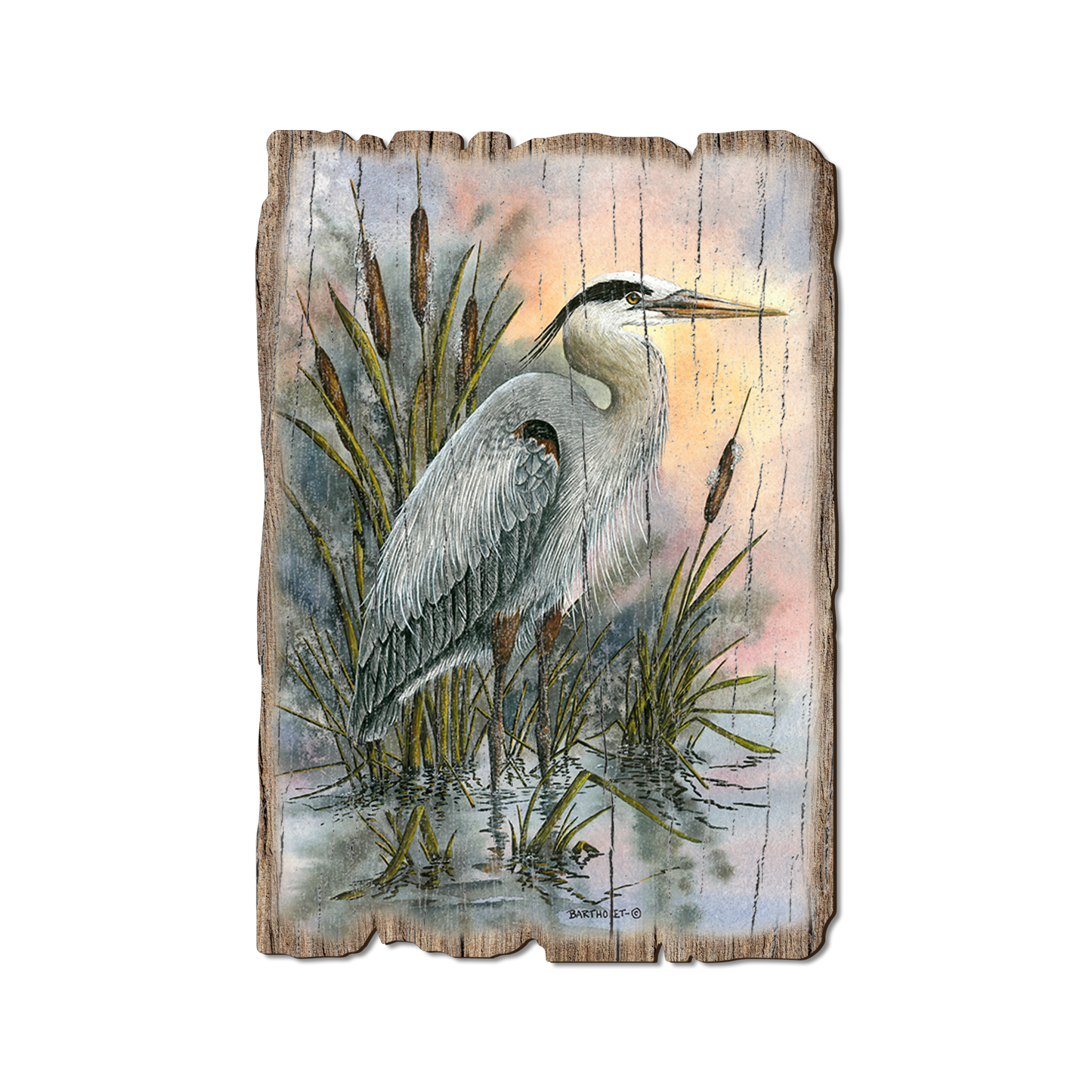 Postcard: Weathered Edge - Bartholet's First Light Heron