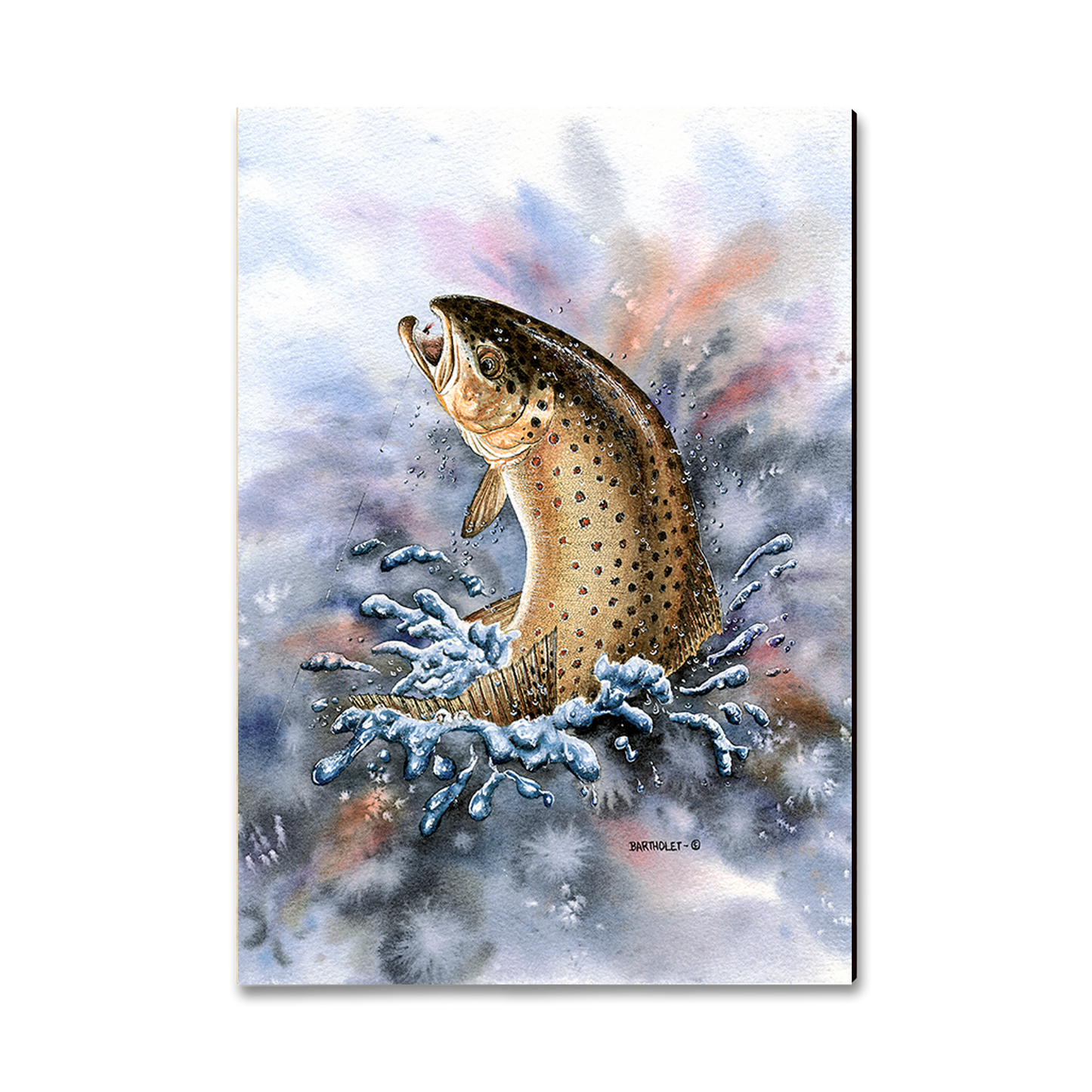 Magnet: Classic Edge - Bartholet's Fish On (Brown Trout)