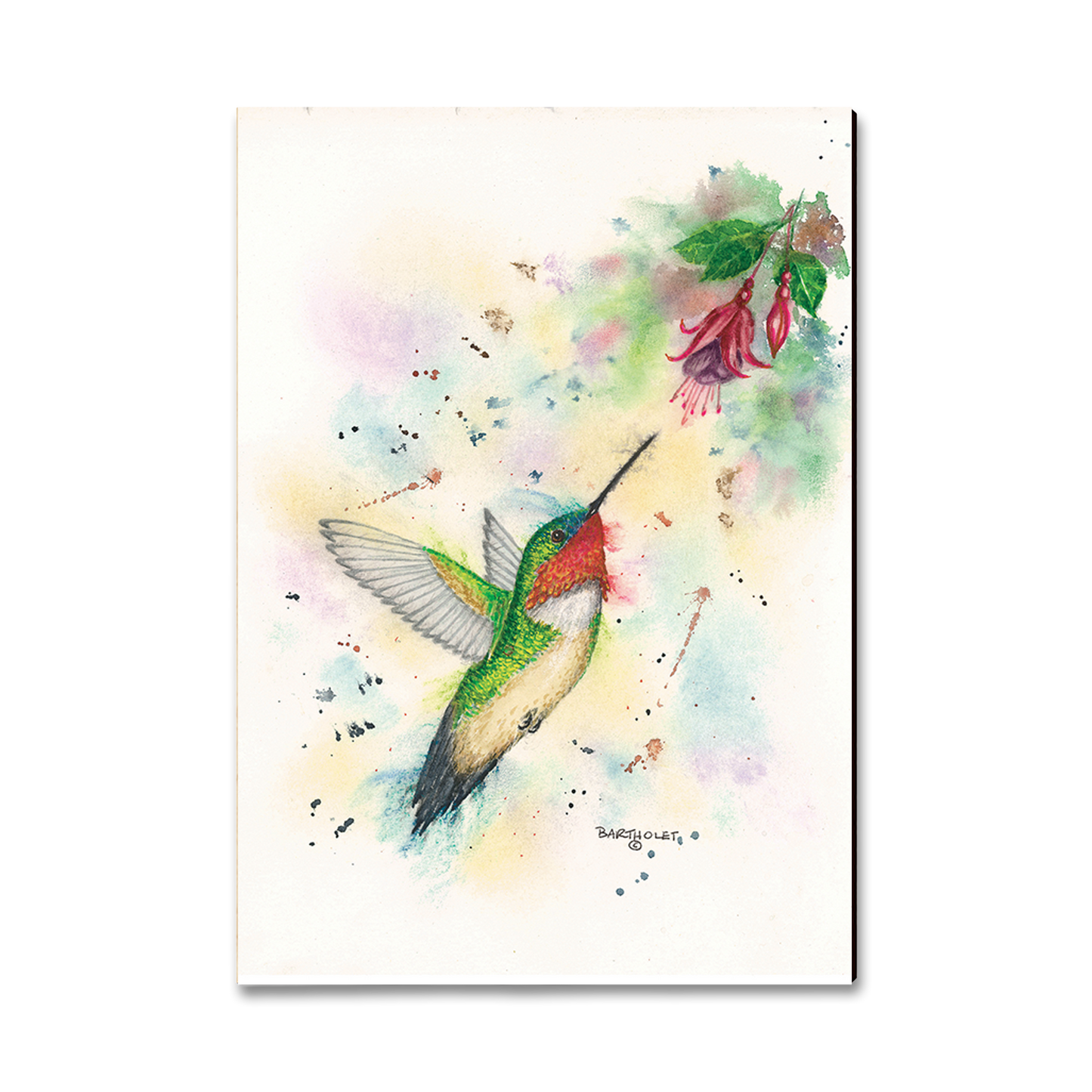 Magnet: Classic Edge - Bartholet's Fuchsia Fun