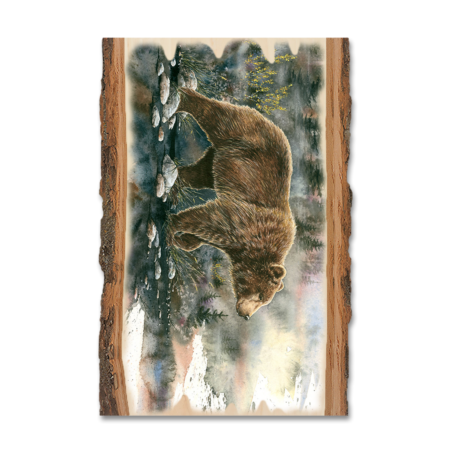 Magnet: Live Edge - Bartholet's Glacier Grizz
