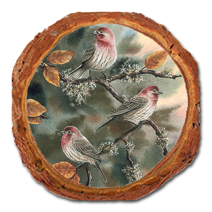 Coaster: Live Edge - Bartholet's House Finches