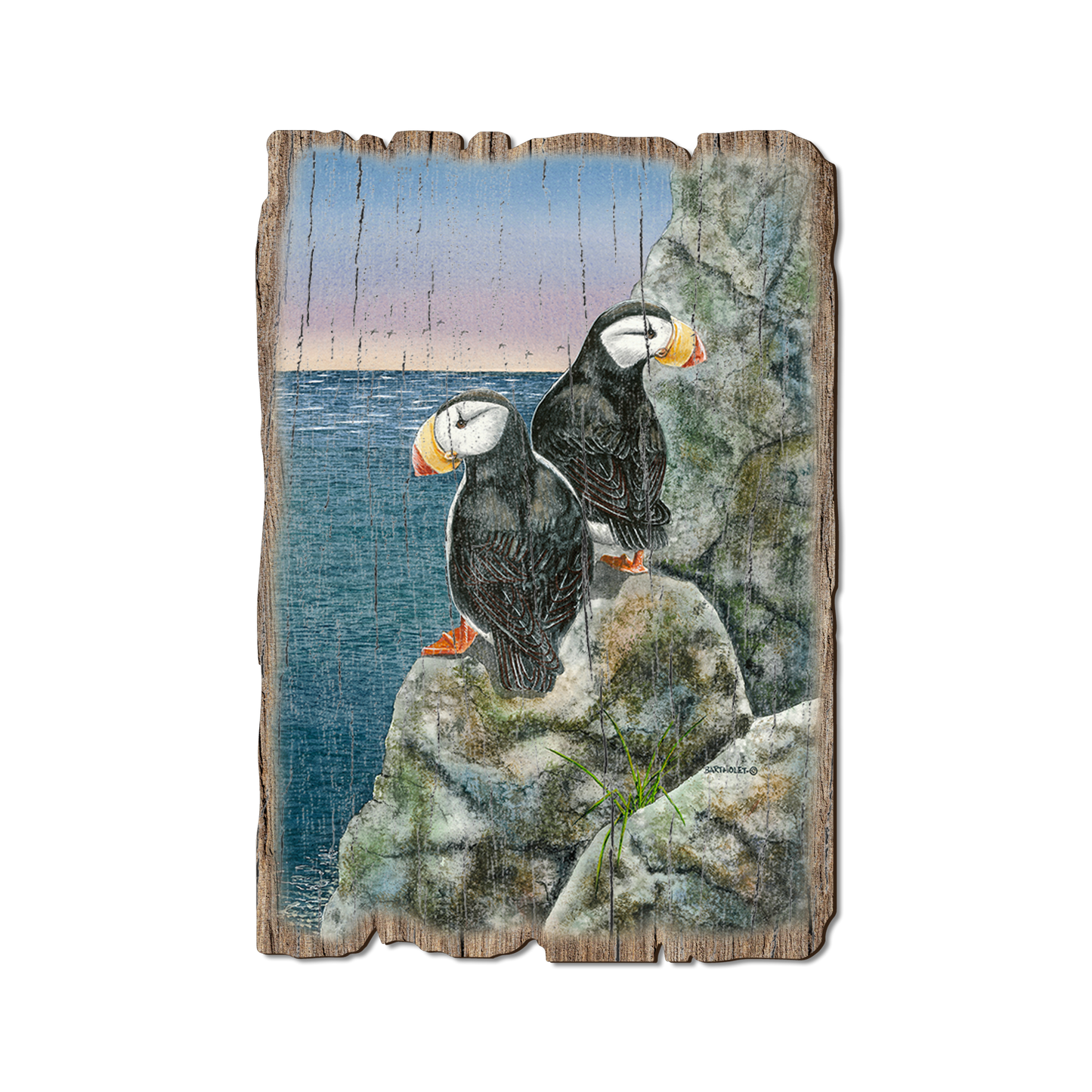 Ornament: Weathered Edge - Bartholet's Horned Puffins