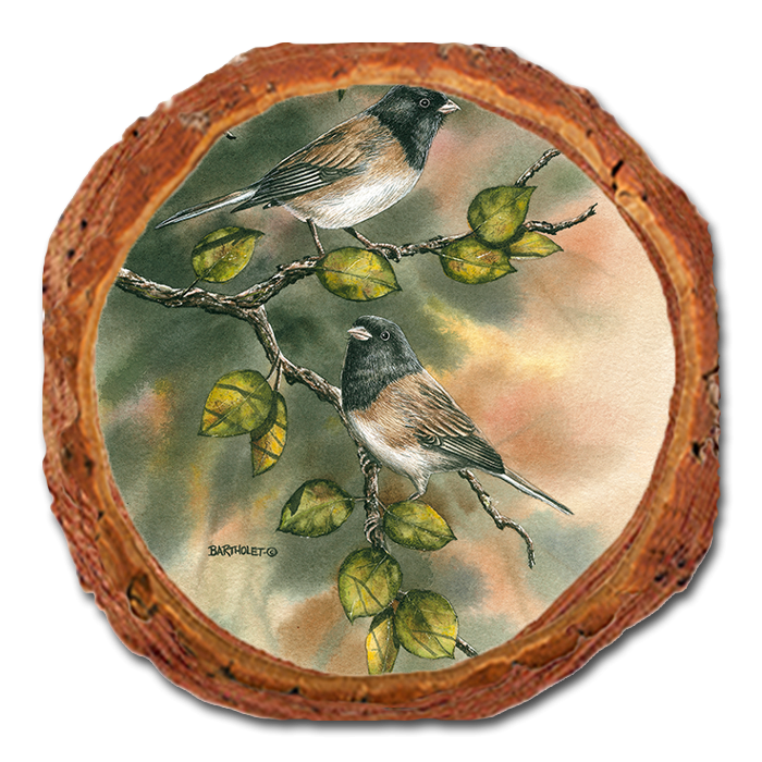 Coaster: Live Edge - Bartholet's Juncos (Pack of 5)