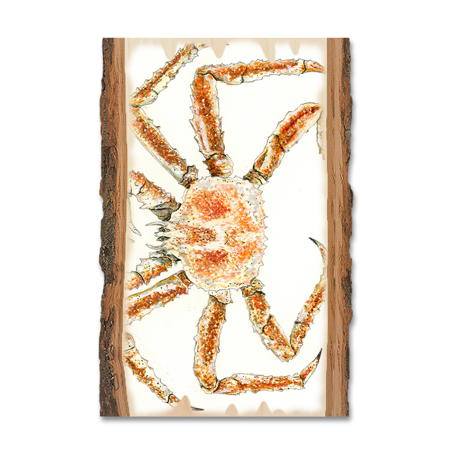 Postcard: Live Edge - Bartholet's King Crab