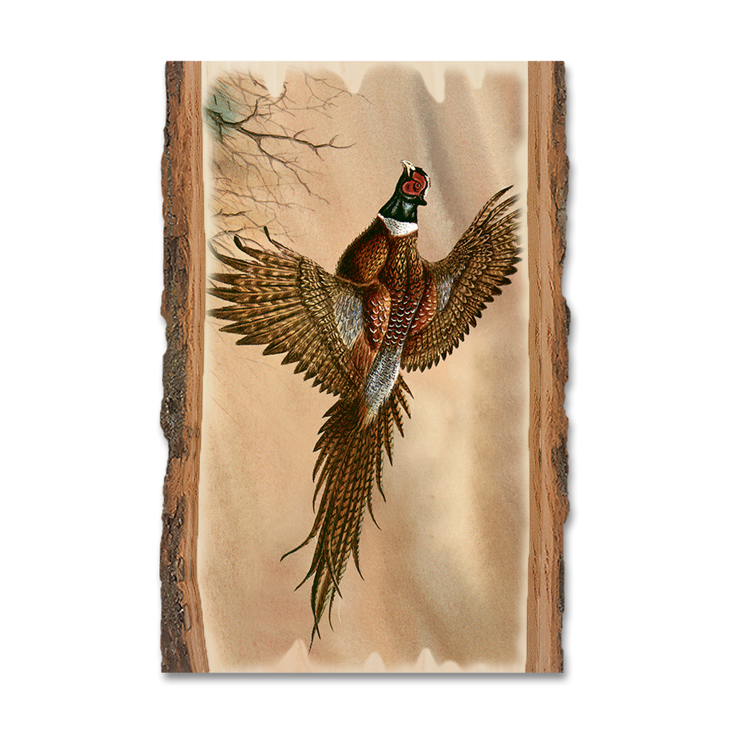 Magnet: Live Edge - Bartholet's Kaleidoscope Pheasant