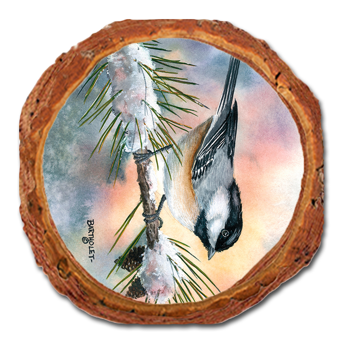Coaster: Live Edge - Bartholet's Little Flitter