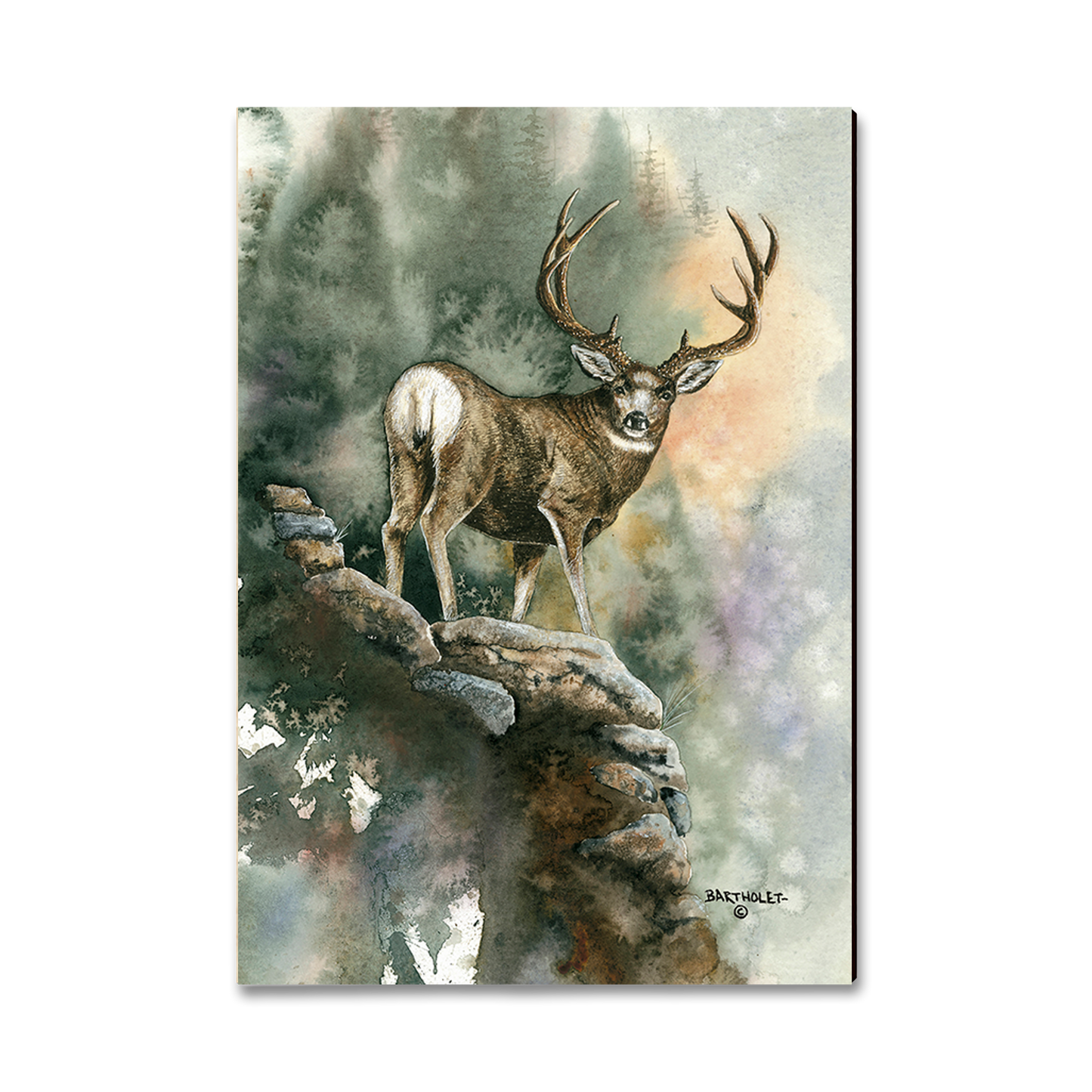 Magnet: Classic Edge - Bartholet's Last Light Muley