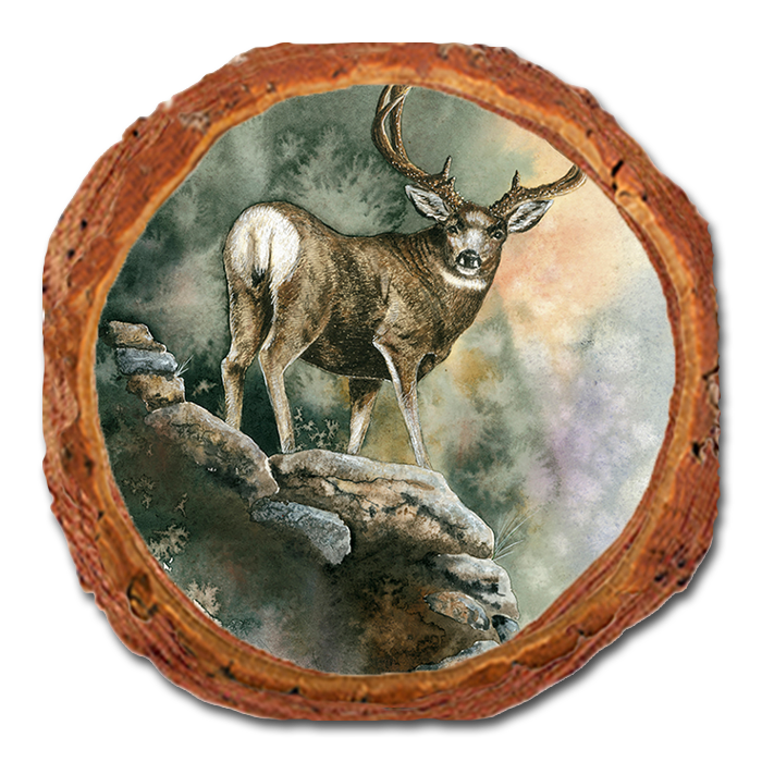 Coaster: Live Edge - Bartholet's Last Light Muley