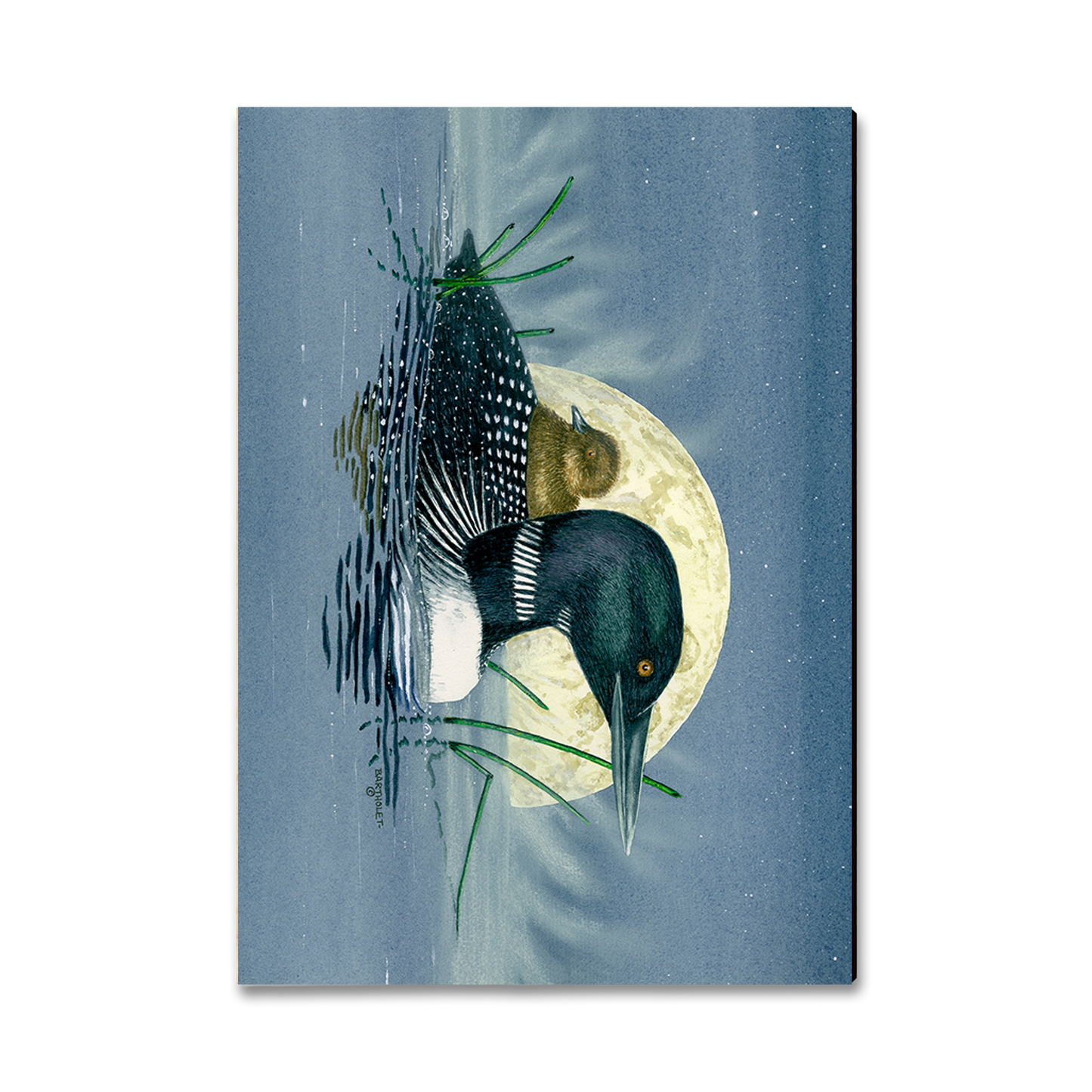 Postcard: Classic Edge - Bartholet's Loon Moon