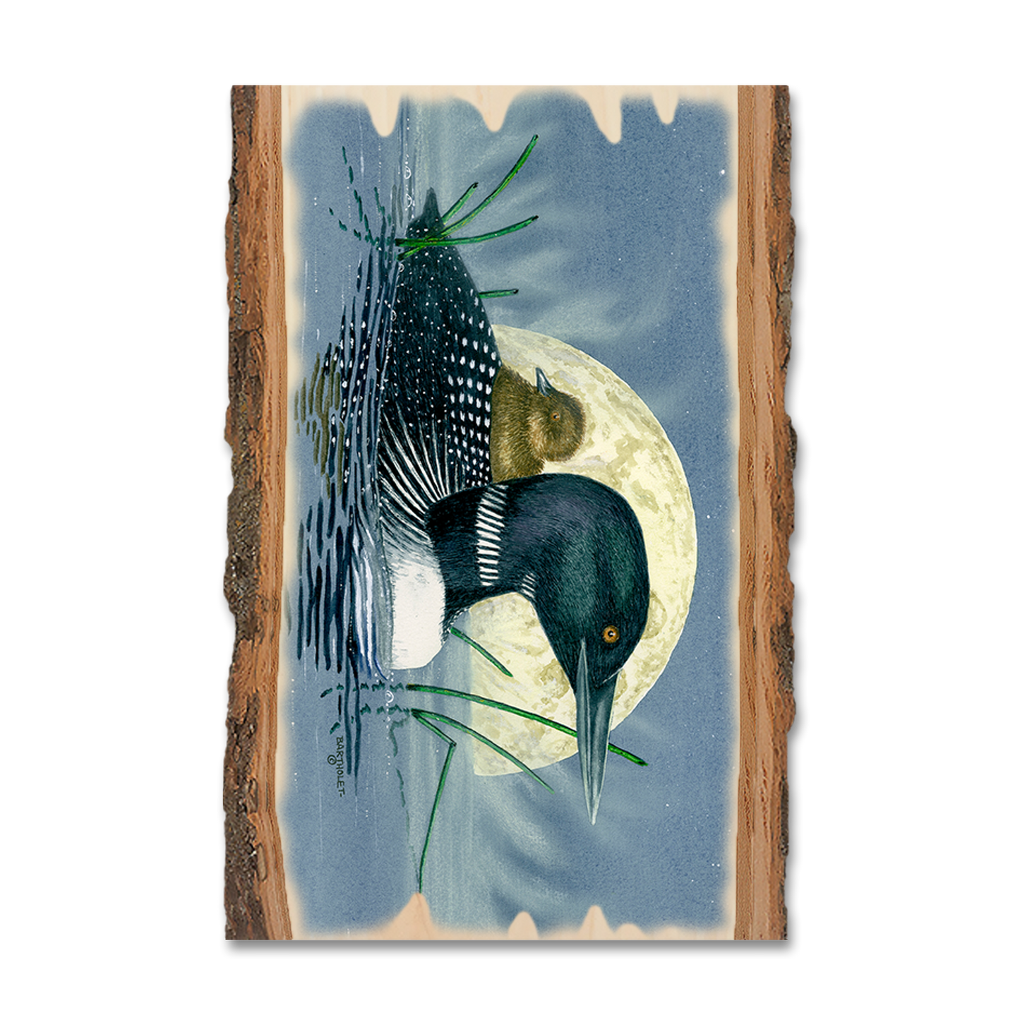 Magnet: Live Edge - Bartholet's Loon Moon