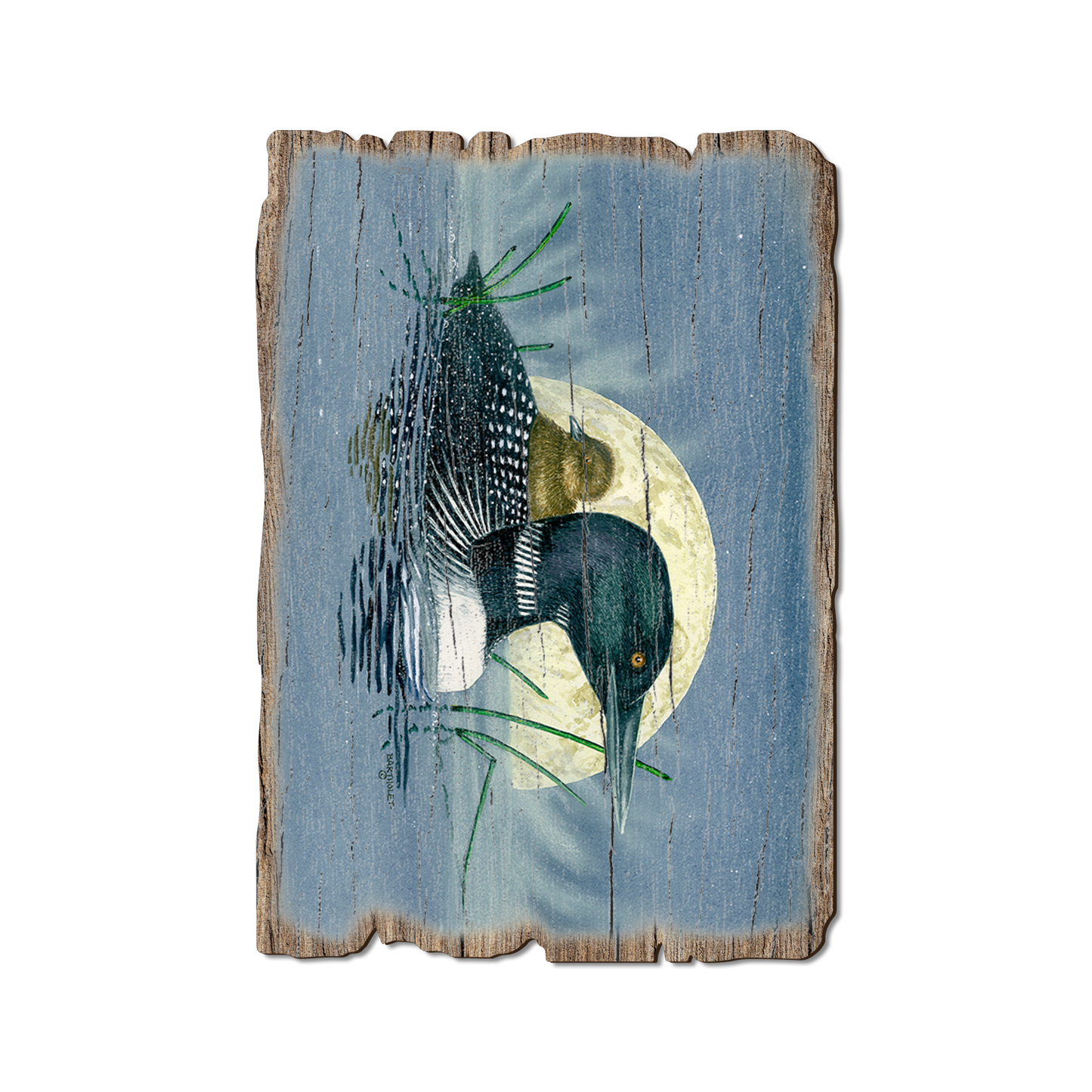 Postcard: Weathered Edge - Bartholet's Loon Moon