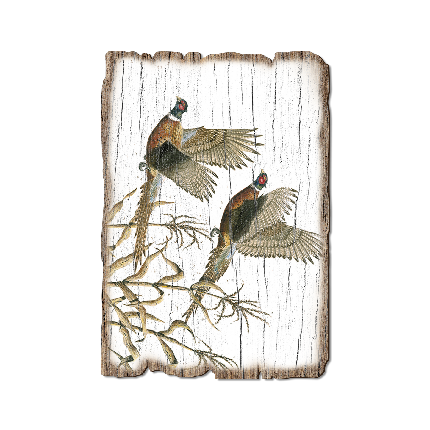 Postcard: Weathered Edge - Bartholet's Long Tails