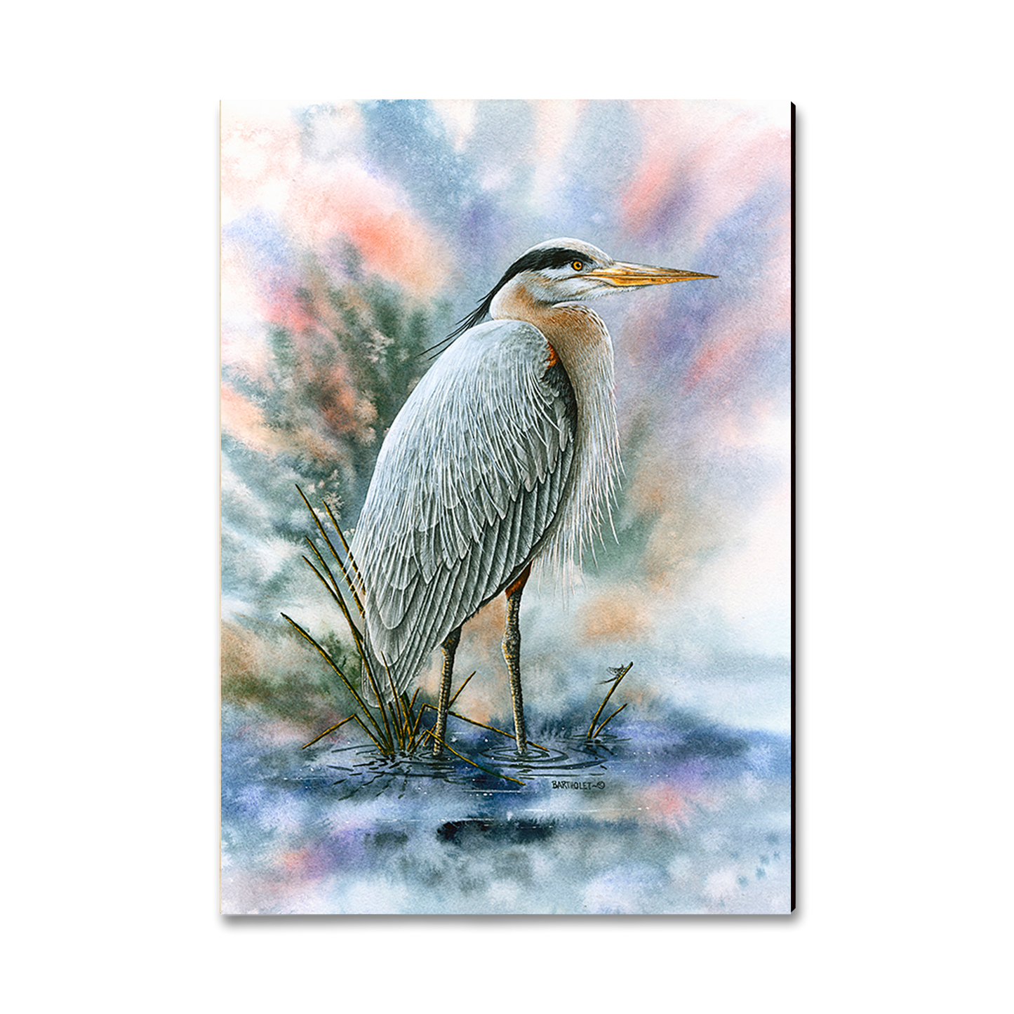 Magnet: Classic Edge - Bartholet's Marsh Master