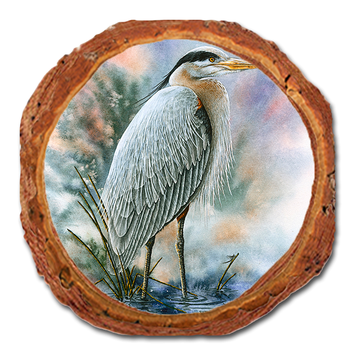 Coaster: Live Edge - Bartholet's Marsh Master (Pack of 5)