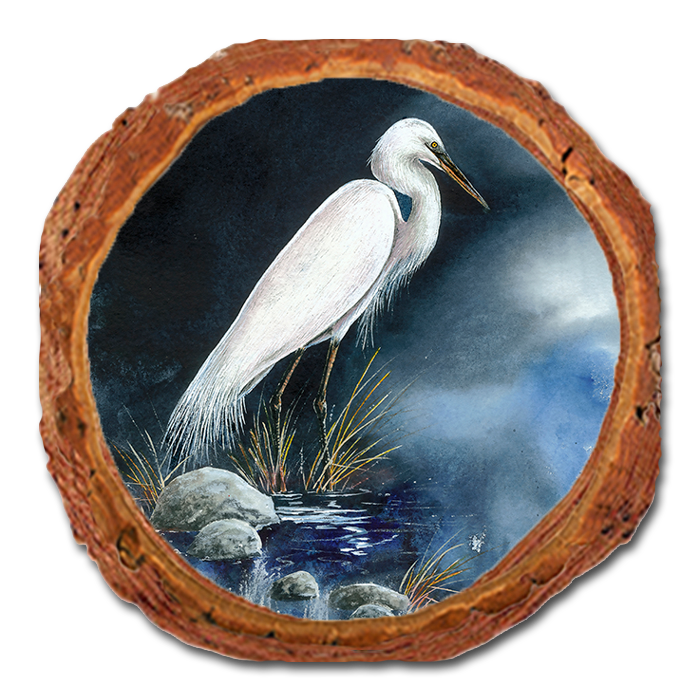 Coaster: Live Edge - Bartholet's Midnight Snack