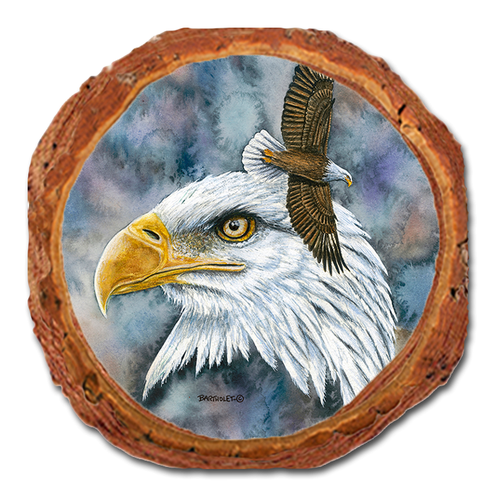 Coaster: Live Edge - Bartholet's Nobility (Pack of 5)