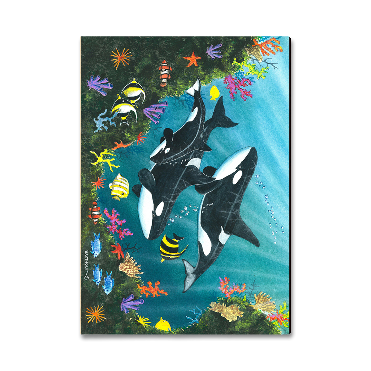 Magnet: Classic Edge - Bartholet's Orca Joy