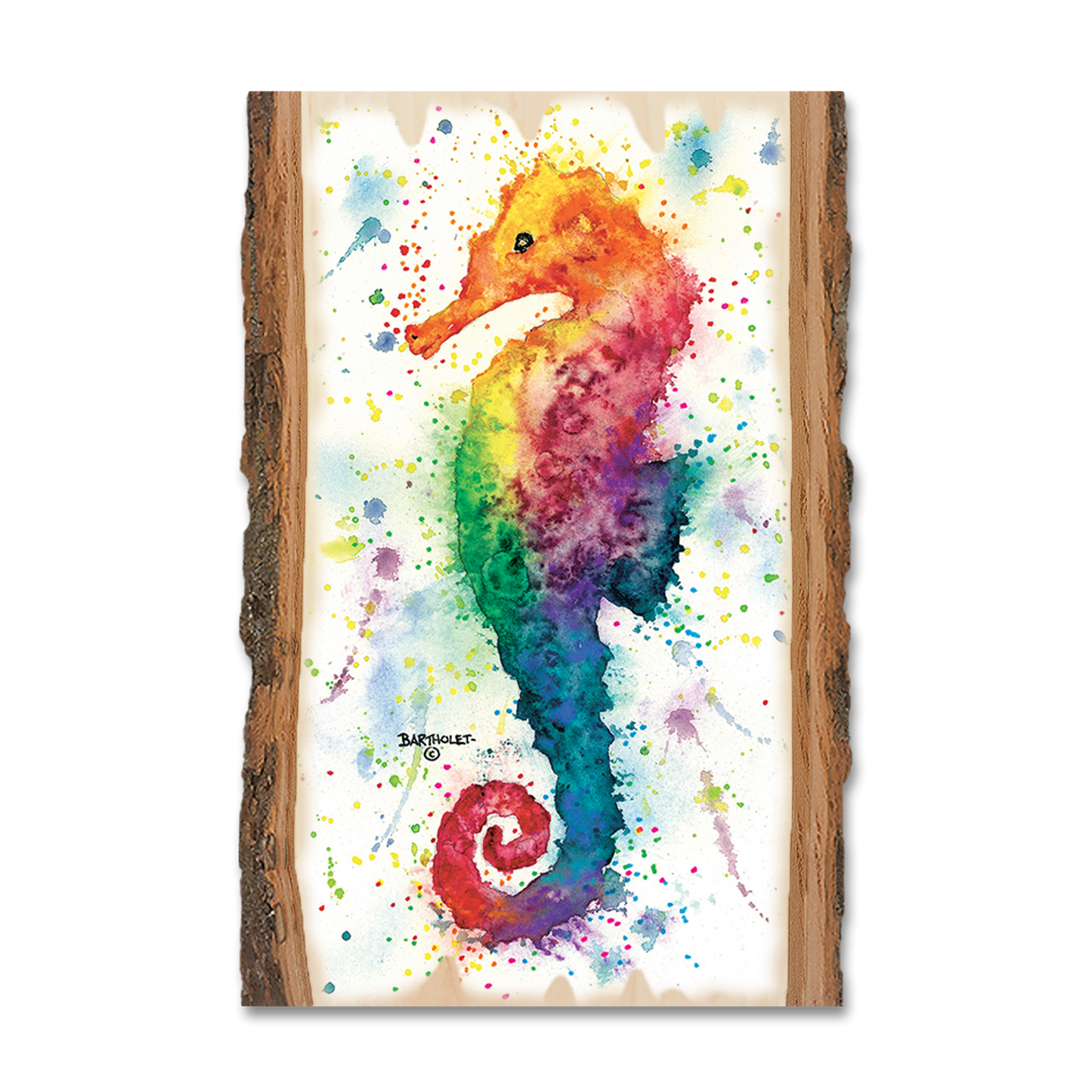 Ornament: Live Edge - Bartholet's One Seahorse