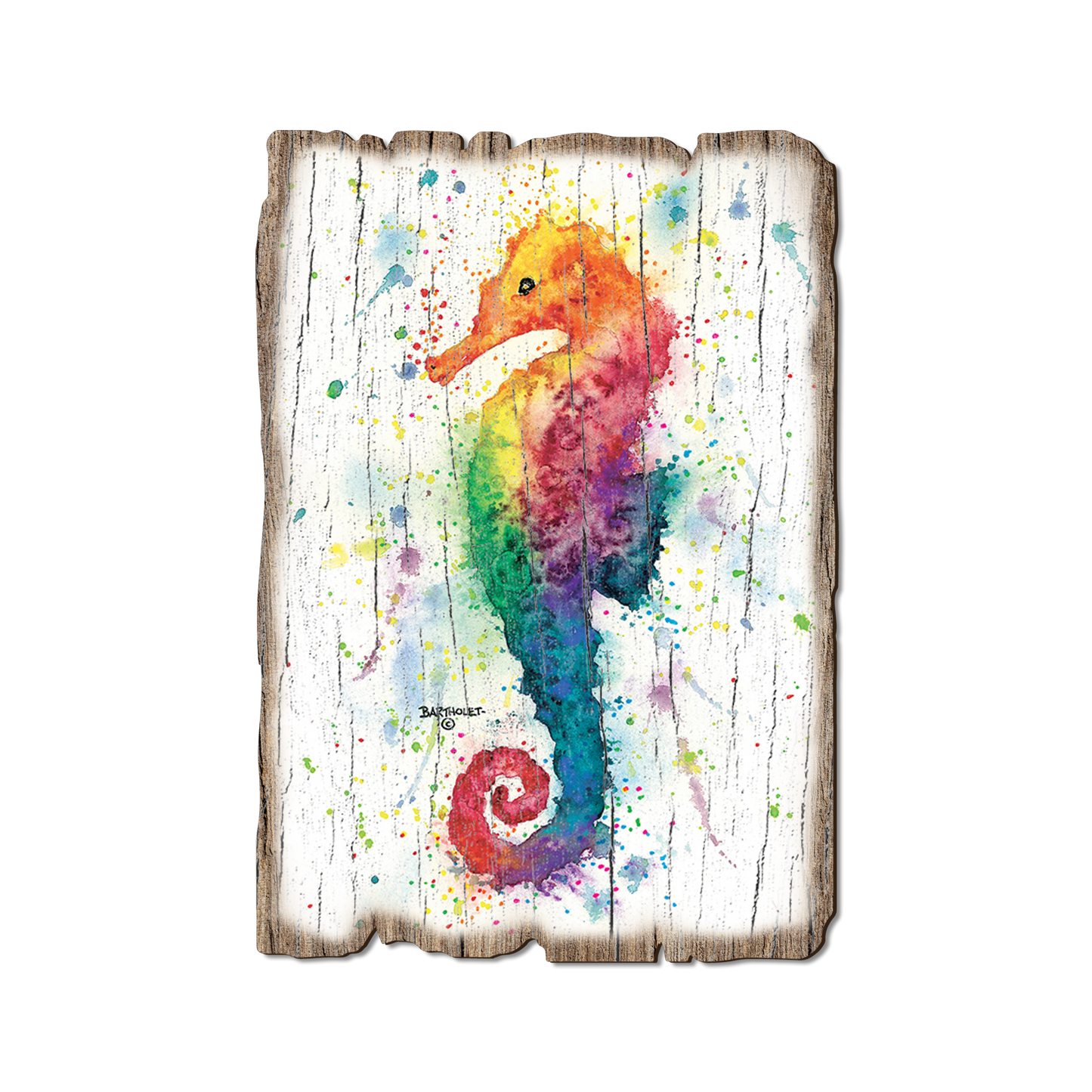 Postcard: Weathered Edge - Bartholet's One Seahorse (Pack of 5)