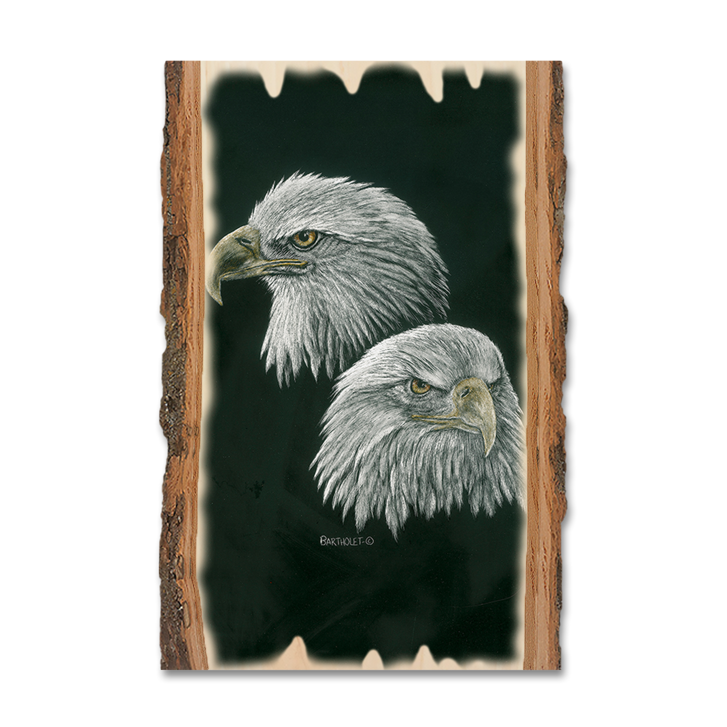Magnet: Live Edge - Bartholet's Power & More Power